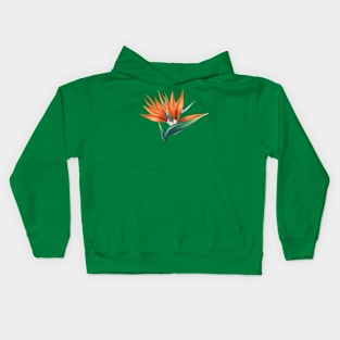 Strelitzia tropical flower Kids Hoodie